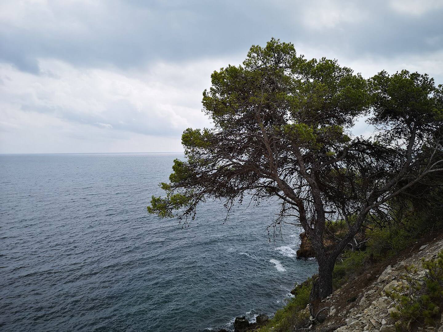 Racó Del Port